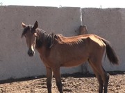 ��-�� �������� ������������ ����������� �� ����� ��������� ������������� ���������� ����