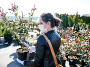 ����� ������������, ������������ �� ��������, �������� ����� ��������