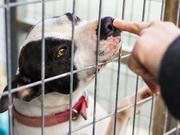 ����� � ������ ��������: �� ����� ��������� ������ ���������