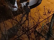 ��� ���� ��� ������� �� �������� � ������