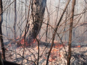 10 �������� ����� � ���� ������� ��-�� ������ ���������� � ���