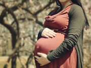 ������� �� ��������� ������ ������������ ���������� ������������� � ����������