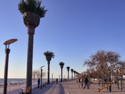 � ��������� �������� ��������