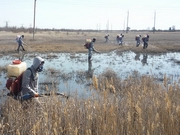 �������� ���������. ������ ����� ����� ������ �� ������� ����������� � ������ � ������