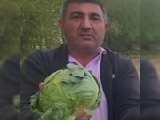 ��� ��������: ������������ �� ������ �������� ������� �������� �������� � ���