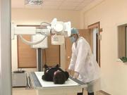 � ������������ ������� �������� �������� �������� �������-�������