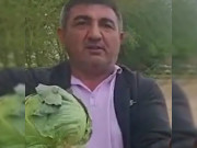 ���������� ���������: ������� ����������� ������ ������� �� ��� ����������