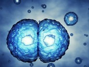 ������� ������ ������� ��������� ������ ���������� � ����������