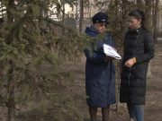 ������������ ������ ����������� � �������� ����� �� ��������