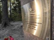 ����������� � �������������� ������� ��������-������� ����� ����� � ������������� �������