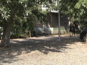 � �������� ���� ������ 5-������ ���� ��������� �������