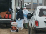 ��� �������� ������ ������ ������������ � ����������