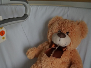 ���� ����� ������������ � ���-�������: ���������� ������������� ��� ���������