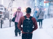 ������� �������� ���� ������������ � ������ 2021 ����