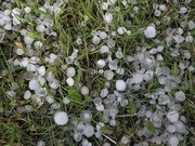 ��������� ������������ � ��������� ����� � ������������ ������� 24 ����