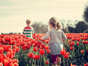 ������ � ������, � �� � �������: ����������� ������� �������� ��������� � ������