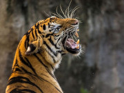 �������� ����������� �����, ����������� � �����, �� ����� ������