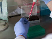 � ��������� ���������� COVID-19 � ���������� ������� ���������� �����