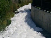 �������� ����� ��������� ���� � ������