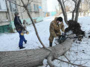 ����� � ������������� ������������� � ������������ ������� ����� �������