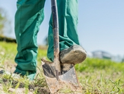 �� ������� ������� ����� �� ���������, ���������� � ����������������� ������