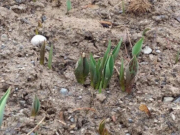 ������ �������: ������ �������� ���������� � ��������