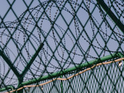  ������ ���������� ������� ������ ������: ����� ����� ����������