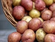 �� ���������� ��������� �������� ������, ����� � ���������