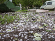 � ��������� ����� 19 ���� ������������ ����������� ���������