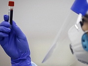 534 ���������� ������������� ���������������� �� ����� � ����������