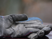 ������� �� ������: ���� ������� ������� � ����� ������� ������� �������� ��������