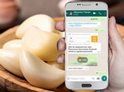 ������ �� ������������. ������� ������� �� �������� � WhatsApp