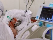 �� ������ � ���������� ������������� 66 ������� ������ �� ������������