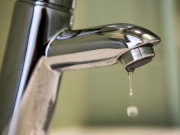 � 15 ��� � ����� ����� ��������� �������� ������� ����