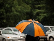 � ���-������� � 7 �������� ��������� ��������� ��������������