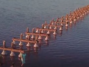 ������ �� ������������� �������� ����� ������ ���������?