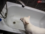 ������� ���� �� ���� ������������ ��������� �������� � 30 ��������