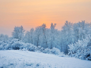 ����� �� 33 �������� ��������� � ����������