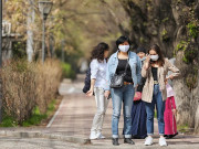 ����� � �������� � ����������� ���������� �������� ������ � ������