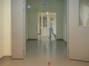 ������ ����������� ������ �� ��������� �����������������