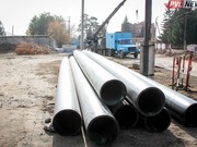 � ����� ���� ��������� ����� �� ������������� ��������� ����� ��������� �� 50%