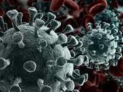 �������� � ��������� ����������: ������ � ���� � ��������� ������ �� ����