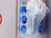 ������ ����� ����������� �� ������������ ����������� ����� �������� � ����������