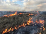 ����� ����� ����� ������ � ������ � ������������� ������