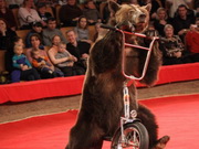 ���� ��� �������� ���������. ���������� ���� ��� ������ �� ����� ������ �� ���������