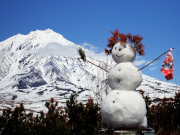 ���������� �� 20 �������� ��������� � ����������