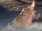 ���������� ����� �������������� ������ � ������������ �������