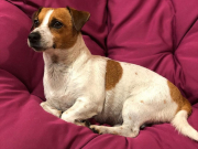 ����������� ��� �� ������ � ������� ��������� ������������