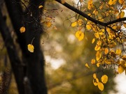 �������� ���������� ���������� � ����� � �����������