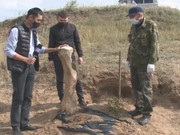 �������� ����� ������� ����������� �� ����� ���������� � ����������� �������